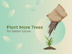 The Power of Planting Trees: A Simple Act for a Greener Tomorrow!