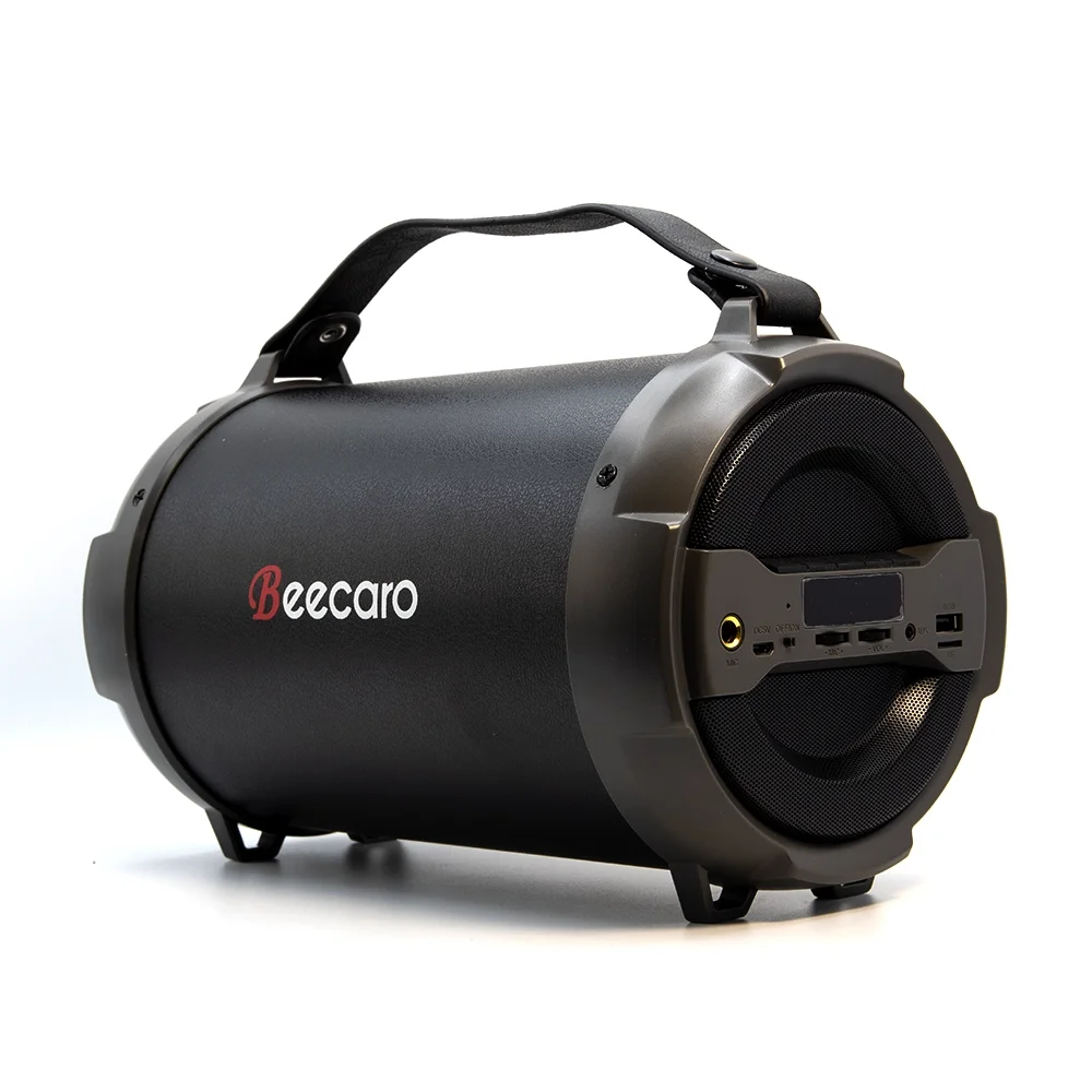 Beecaro Outdoor Indoor Wireless Speaker X114