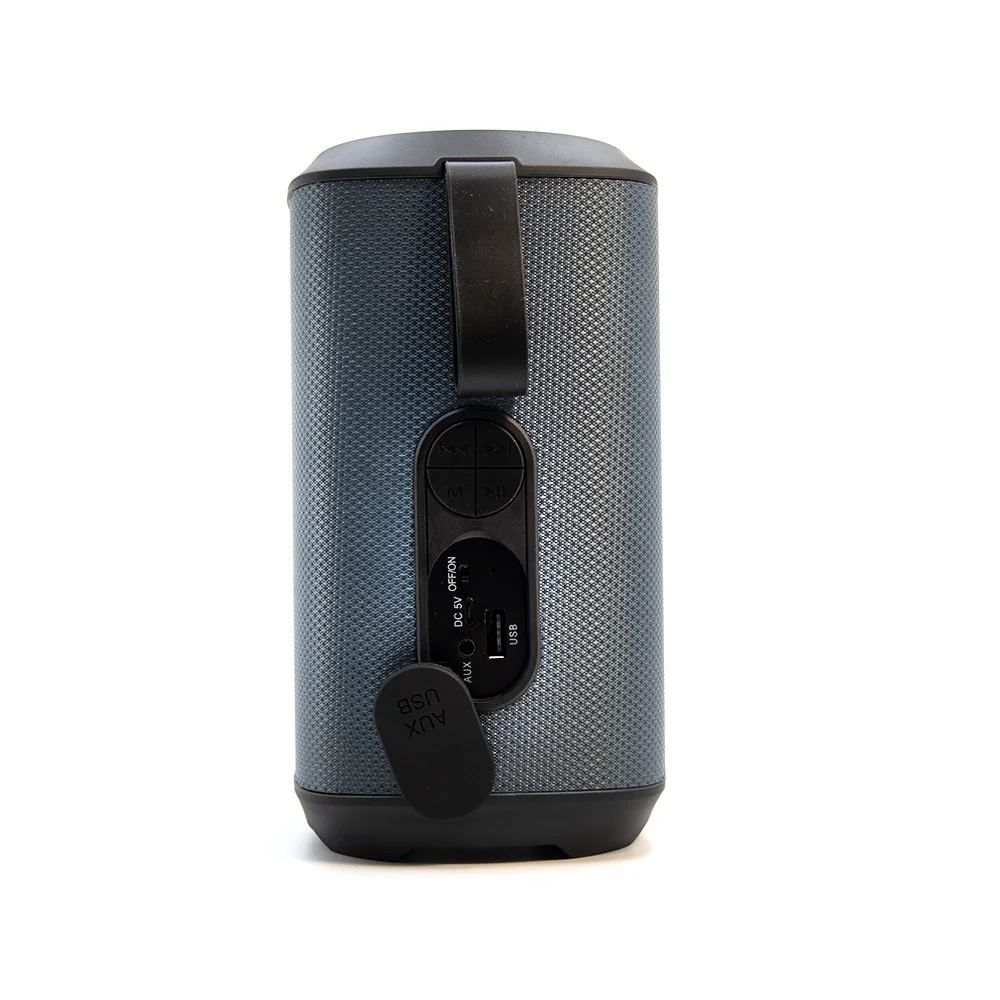 Beecaro Outdoor Indoor Wireless Speaker GF601