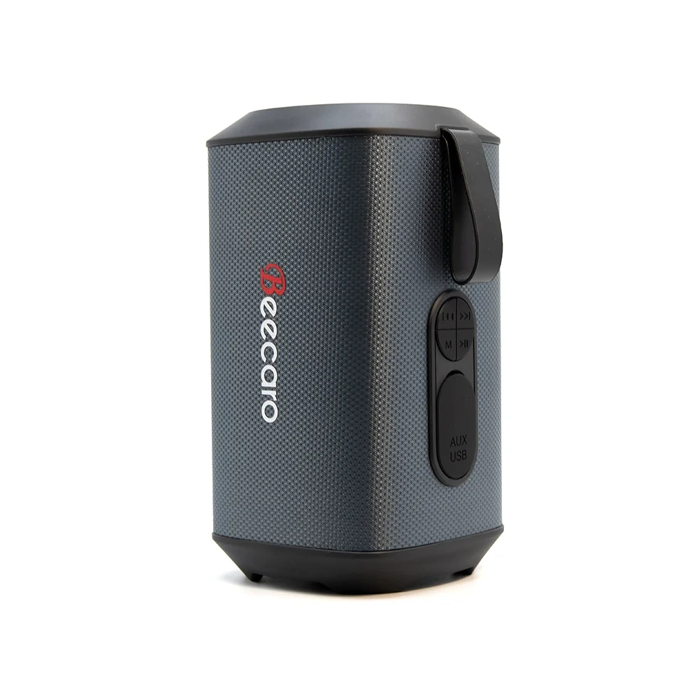 Beecaro Outdoor Indoor Wireless Speaker GF601