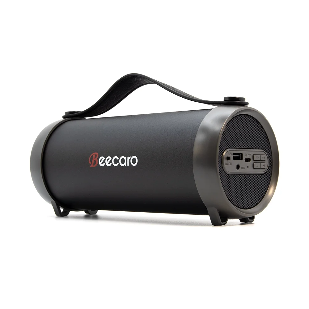 Beecaro Outdoor Indoor Wireless Speaker S33D