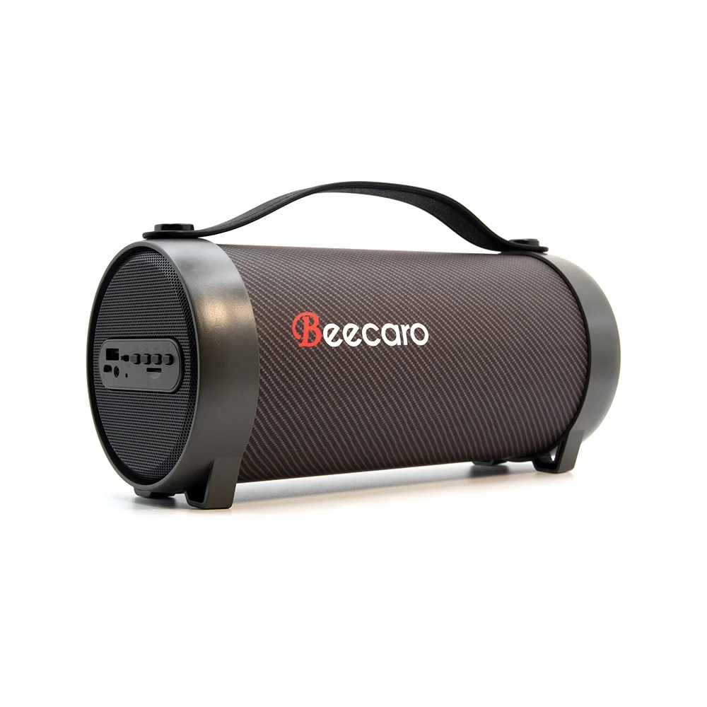 Beecaro Outdoor Indoor Wireless Speaker S11F