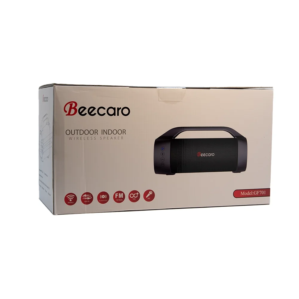Beecaro Outdoor Indoor Speaker Wireless Speaker GF-701