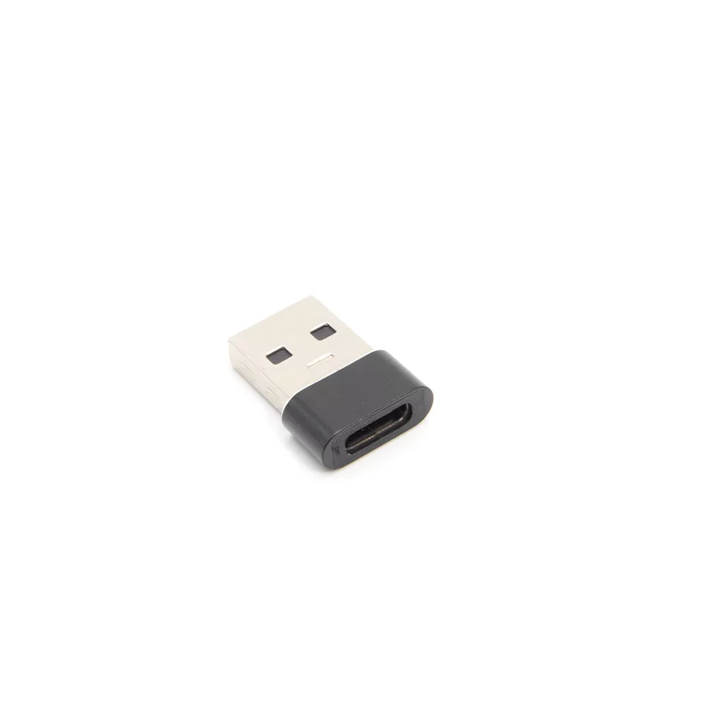 Budi Mini USB to Type-C Converter DC515T_AB