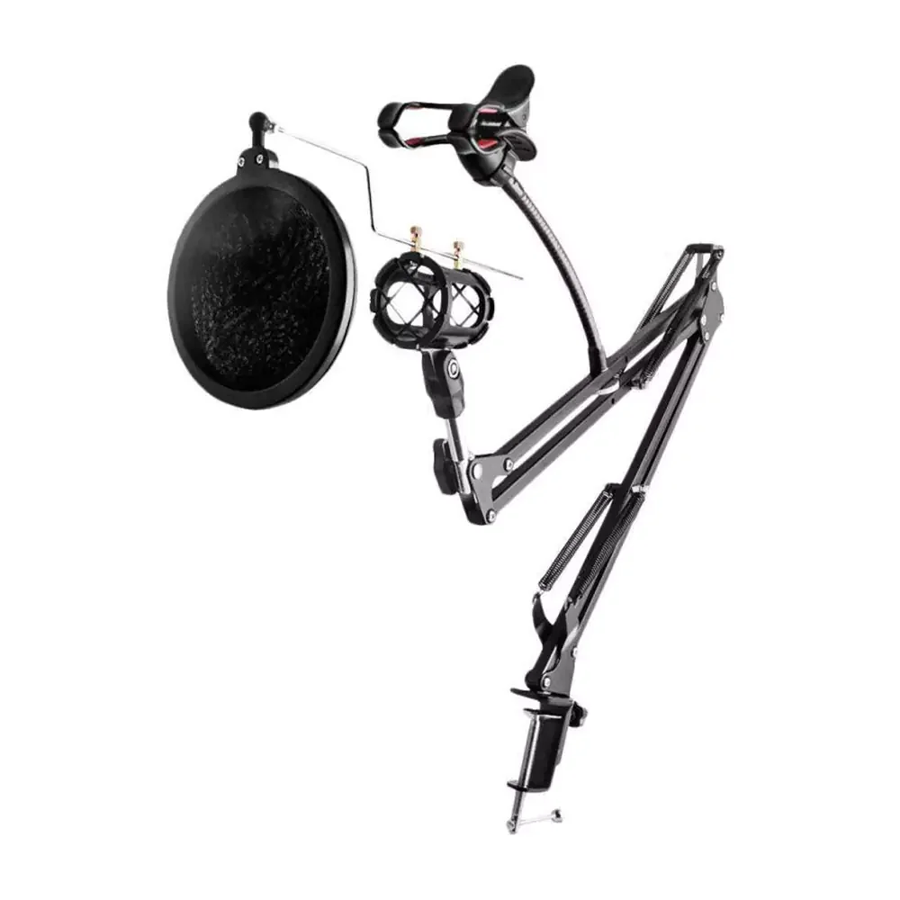Remax Mobile Recording Studio Dual-Use Base Microphone Stand (CK100 Pro)