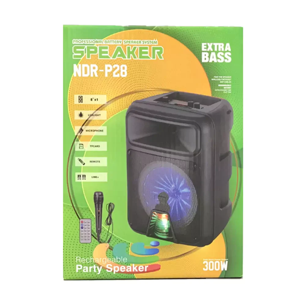 NDR-P28 portable BT DJ LoudSpeaker karaoke