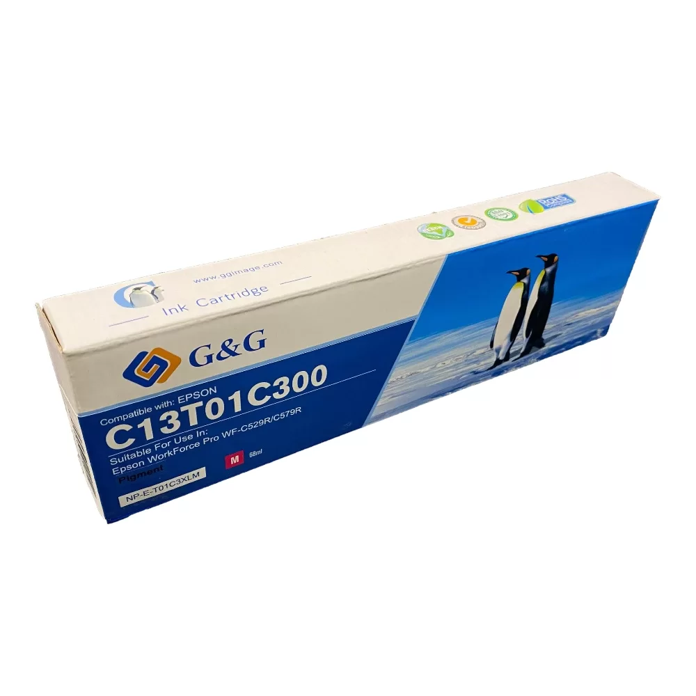 Epson G+G C13T01C300 Magenta Ink Ctg