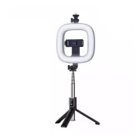 Earldom ET-ZP21 Multifunctional Selfie Stick & Ring Light
